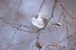 ロマンスナイトの日 2021.9.10（金）