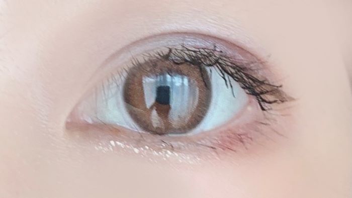 グレイアッシュブラウン×モード赤