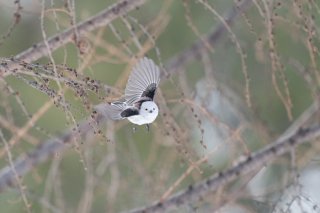 忙しい日々に疲れてしまったら… 2021.9.15（水）