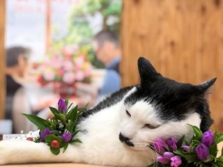 コロナ禍の敬老の日に何を贈る？ ド定番アイテムとその理由