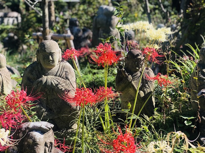 約470体の石仏があります（Ｃ）コクハク