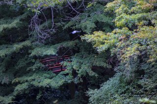 秋の始まり 2021.9.28（火）