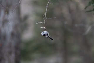 明日があるよーん 2021.9.30（木）