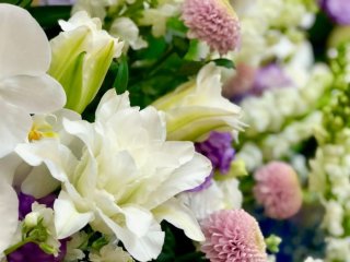 花屋が伝える…ペットを亡くした知人の悲しみに寄り添う方法