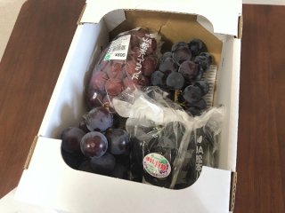 今が旬！ ぶどう4種を食べ比べ 2021.9.29（水）