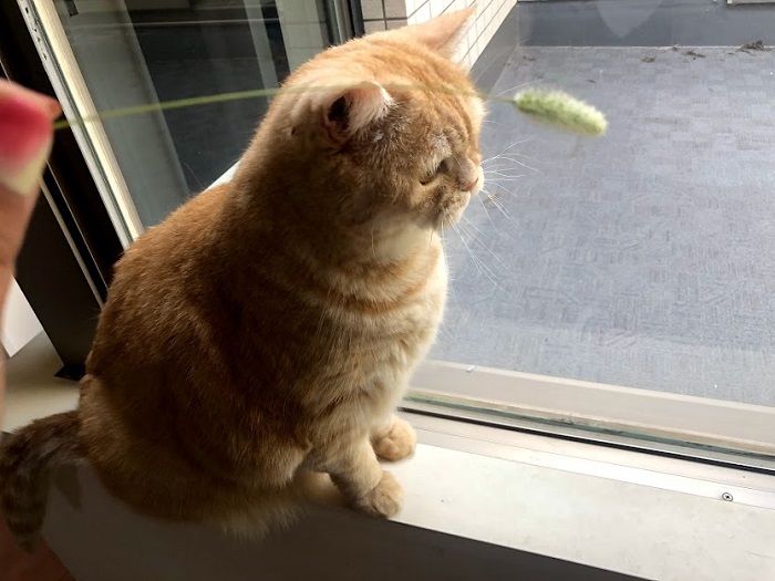 キャッチ風に後ろから声を掛けます（C）コクハク