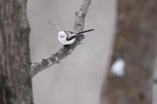 鬼滅の刃！ 2021.10.10（日）