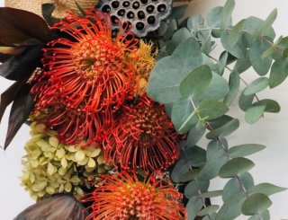 最強の汎用性で大活躍！インパクト抜群の「ピンクッション」