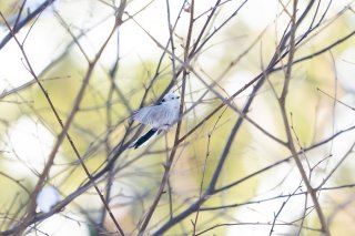 秋から冬へ 2021.10.15（金）