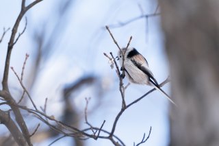 残り物には福がある 2021.10.20（水）