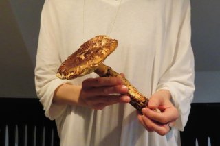 お姫様だっこ？ 2021.10.21（木）