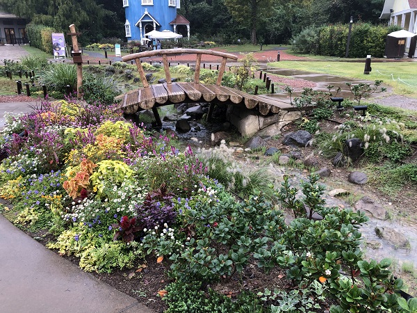 小川の周りには鮮やか植物たち（C）コクハク