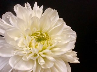 このコロナ禍で一変…簡略化した「知人の葬儀」への対処方法