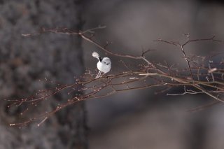 待ってて！ 2021.11.9（火）