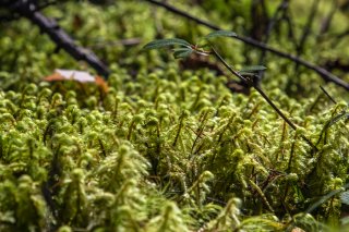 ひとりだけ違う方向 2021.11.17（水）