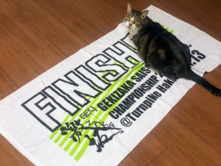 フィニッシャータオルの上でくつろぐもん様（C）コクハク