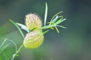 元気のないお友達に（写真:iStock）