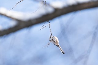 お食事中もトレーニング？ 2021.11.19（金）