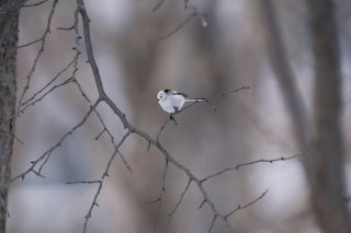 ジンセイ模索中 2021.12.12(日)