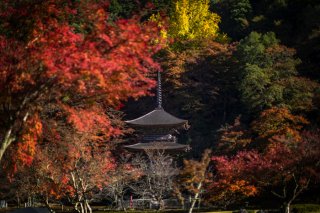 空気まで秋の色 2021.12.6(月)