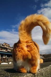 道のりは遠かったけど…"にゃんたま”君の熱烈歓迎に感激♡