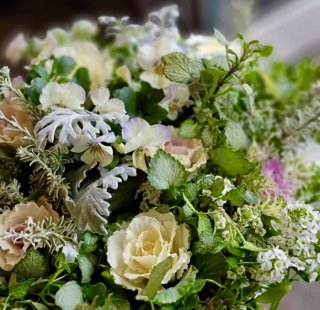 幾重にも重なるめでたさ！大人カワイイ進化した「ハボタン」