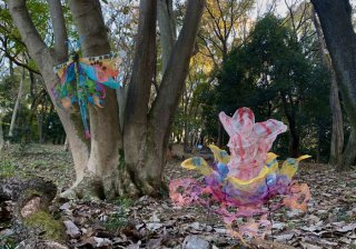 自然の中で見つけた美しいモノ 2021.12.20(月)