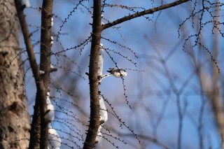 もうひと踏ん張り 2021.12.26(日)