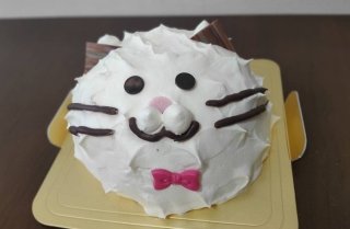 ネコのシューミルフィーユ 2021.12.25（土）