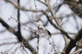 美しくいること 2021.12.29(水)