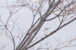 ♡♡♡ 2022.1.2(日)