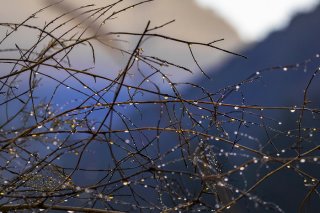 夜が明けて 2022.1.10(月)