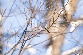 小寒! 2022.1.5(水)