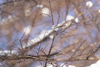 えー天気よのぅ 2022.1.9(日)