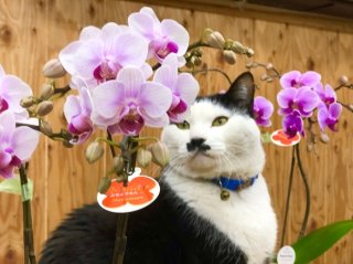 ワシですら見てて「可愛いなぁ〜」って思うで。知らんけど。byさぶ店長