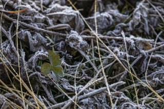 凍てついた大地の希望 2022.1.21(金)