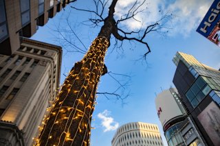 街を彩る存在 2022.1.24（月）