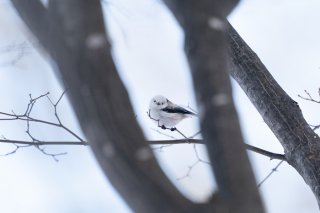 と、盗撮!? 2022.1.23(日)