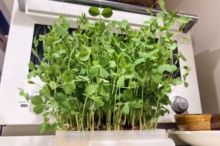 給料日前夜のあなた♡ 2022.1.25（火）