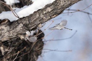 らぶらぶらぶ 2022.1.30（日）