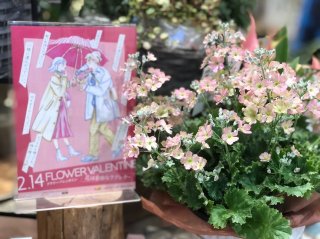 フラワーバレンタイン浸透中！花束で愛と感謝を伝え合う♡