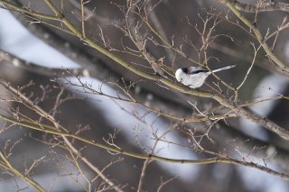 こんな日は… 2022.2.2（水）