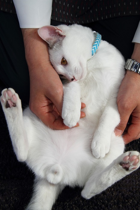 （写真:芳澤ルミ子）