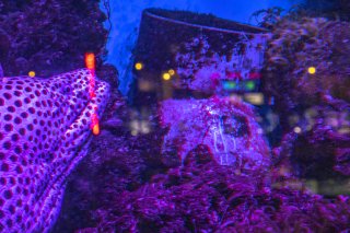 海の底でにじむ街 2022.2.14（月）