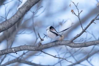 全神経を集中！ 2022.2.16（水）