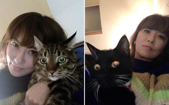 メルシィ（右）とハチ（左）／（提供写真）