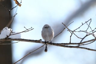 ピシッ！ 2022.2.23（水祝）