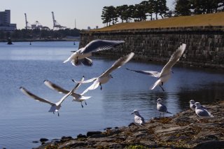 愛のコクハク返し！ 2022.3.14（月）