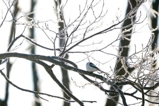 愛すべきフォルム 2022.3.2（水）