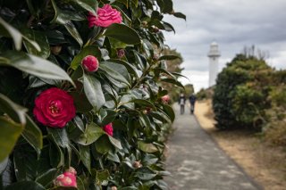 灯台へつづく小道 2022.3.11（金）